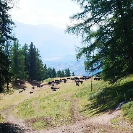 Attractive In With Sauna * Crans-Montana