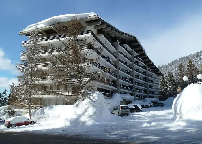 Appartement Near Slopes *