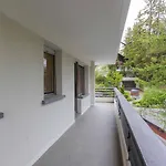 Near Slopes Apartman