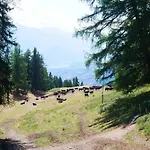 Near Slopes * Crans-Montana