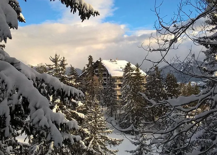 Near Slopes Lejlighed