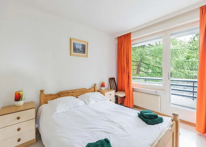 Near Slopes Lejlighed *